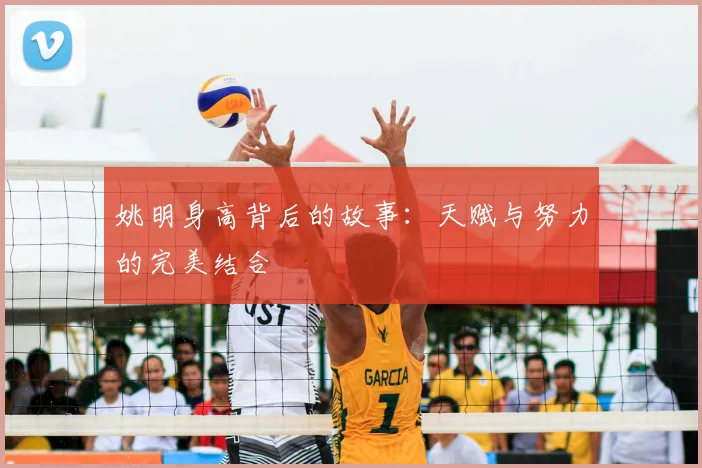 姚明身高背后的故事：天赋与努力的完美结合